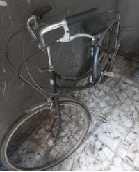 باسكل ياباني • للبيع