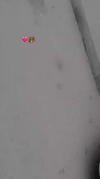 القادسية • قير ومكينة • مقدم كامل