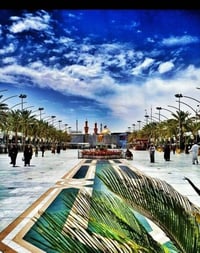 الاثنين • ٤الصبح • كوستر