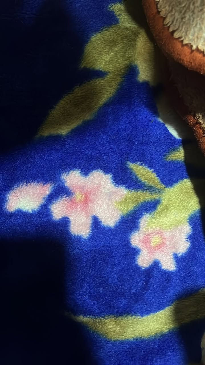 السلام عليكم غراض بيت مستعملة نظيفة للبيع كلمن وسعره الهيتر الواحد ب20 كلهن شغالات و البطانية الوحدة ب 10 و العربانة ب 55 و بيها مجال والمحمصة ب8 الف و الثرامة نوال ب 60 وبيها مجال و القلاية الهوائية ب50 و بيها مجال و مكينه القهوة ب30 نظيفة كسر كارتون بس و العصارة مال عصير ب 40
وبيها مجال
***********
