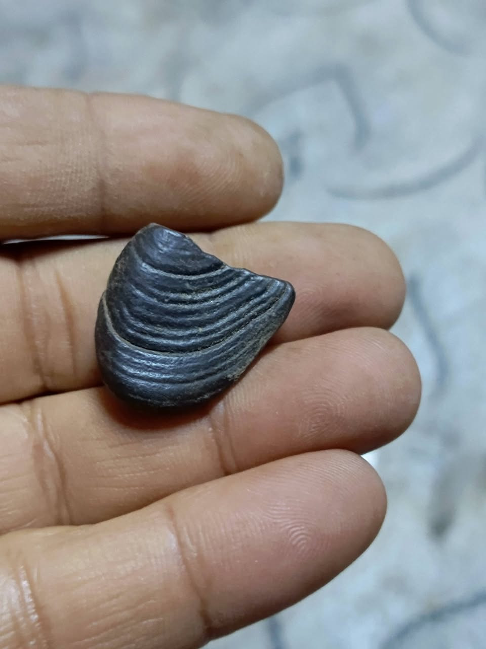 هبهاب خام مجزع قديم جدا يوجد توصيل


**إذا كنت صاحب هذا الإعلان وتريد حذفه لأي سبب، رجاءا أرسل رسالة إلى الدعم الفني**