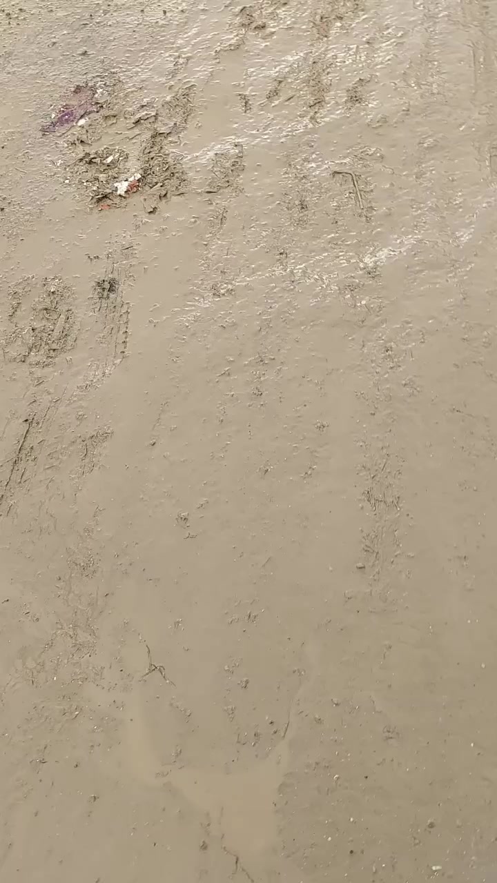 دار للبيع المساحة ١٠٠م
طابو زراعي السند بأسم صاحب البيت
البكرلي الأولى شارع مخبز ليمونة للاستفسار الاتصال على الرقم ***********
