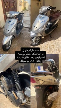 ماكس منغولي • للبيع