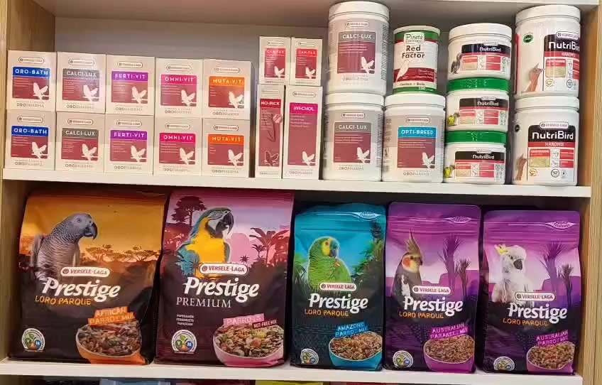 متوفر جميع منتجات فرسن لاكى⭐️
 منتجات ، اكل بغبغاوات ، باتيه 

يوجد توصيل بغداد ولجميع المحافضات
العنوان📍
 شارع فلسطين تقاطع المهندسين بعد البنانزين خانه 
✨🌿مشتل علي العامري ✨🌿 
مجاور مشتل محمد فيصل
***********
