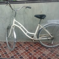 بسكليت • ياباني • نادر