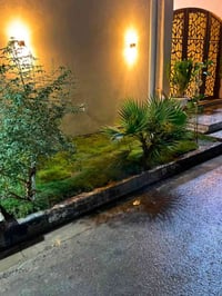 البصره تنومه • طابو صرف • ١٤٠م