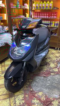 سكنس فحل نوزل خطين مكفوله كفاله عامه السعر 950 وبيها مجال 07724775510