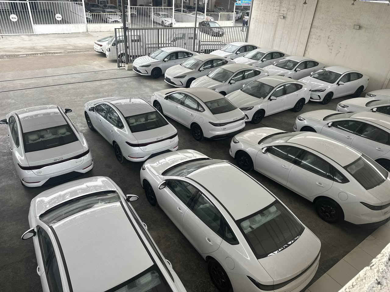 الاسعار جوه السووك 🔥

الديستروير 

الكن بلاص

سيل 5

 ويتوفر جميع انواع سيارات البي واي دي 

من قلب مخازن وساحات السيارات في اليوسفية 

للبيع المفرد والجملة

🥇مجمع معارض مدخل بغداد للسيارات

الاسعار اتصل وتدلل انسب الاسعار 

🔴بي واي دي دسترويرBYD موديل 2025 نار 🔥 

🔴بي واي دي كن بلاص BYD موديل 2025 🔥 

🔴بي واي دي سيل BYD موديل 2025 🔥 

الاسعار جدا مناسبه

        زورونا واهلا وسهلا بكم

يتوفر كافة انواع byd😍

___________________

مواصفات الكورلا 

فول الفول 

كرسي عادي 

شكل الامريكي وشكل خليجي

               

للاستفساراكثر اتصل على الأرقام التالية

🥰🥰🥰🥰☎️☎️☎️☎️

عزالدين الغريري

ادهم الغريري

***********

***********

***********

***********

معرض ديار الكرم 

📍الموقع بغداد اليوسفية قرب سيطرة 75

( مجمع معارض مدخل بغداد للسيارات)

(((معارض اليوسفية))) maps/waze 📍#BYD #bydبغداد #العراقيين

#BYDIraq

#يخيي

#متابعة

#BYD#. #بغداد
