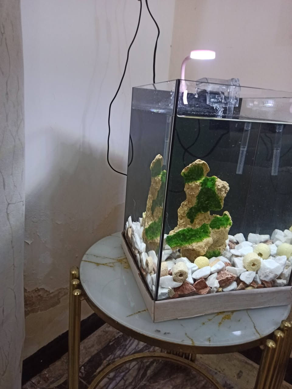 السلام عليكم شباب 
حوض مال سمج. النوع سوبرانتلكلير الجام الواضح 
العرض تقريباً 30سانتيم والرتفاع 35 الحوض متروك صارله هواي 
,كامل مع ملحقاته 
1 الماطور 2الشمعه 3الجبل الحجري 4حجر طبيعي5الاكل 6المعقمات 
 السعر خاص  
***********بي واتساب
