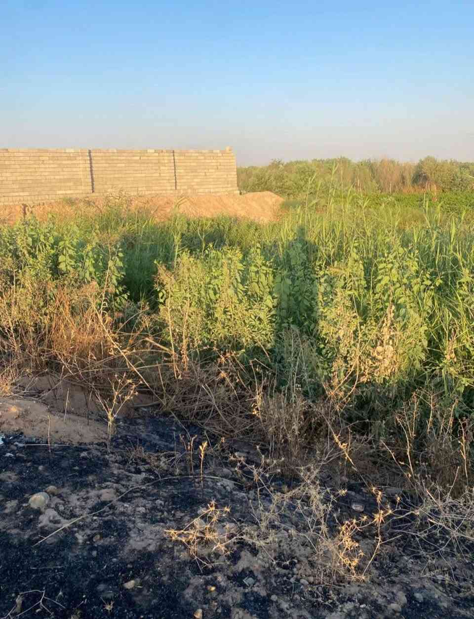قطعة ارض للبيع 2 دونم زراعي حاوي الفراج من السده الى النهر
الواجهه من اتجاه السده 42 متر
والنزال بتجاه النهر 123
السعر 27 مليون وبيها مجال


**إذا كنت صاحب هذا الإعلان وتريد حذفه لأي سبب، رجاءا أرسل رسالة إلى الدعم الفني**