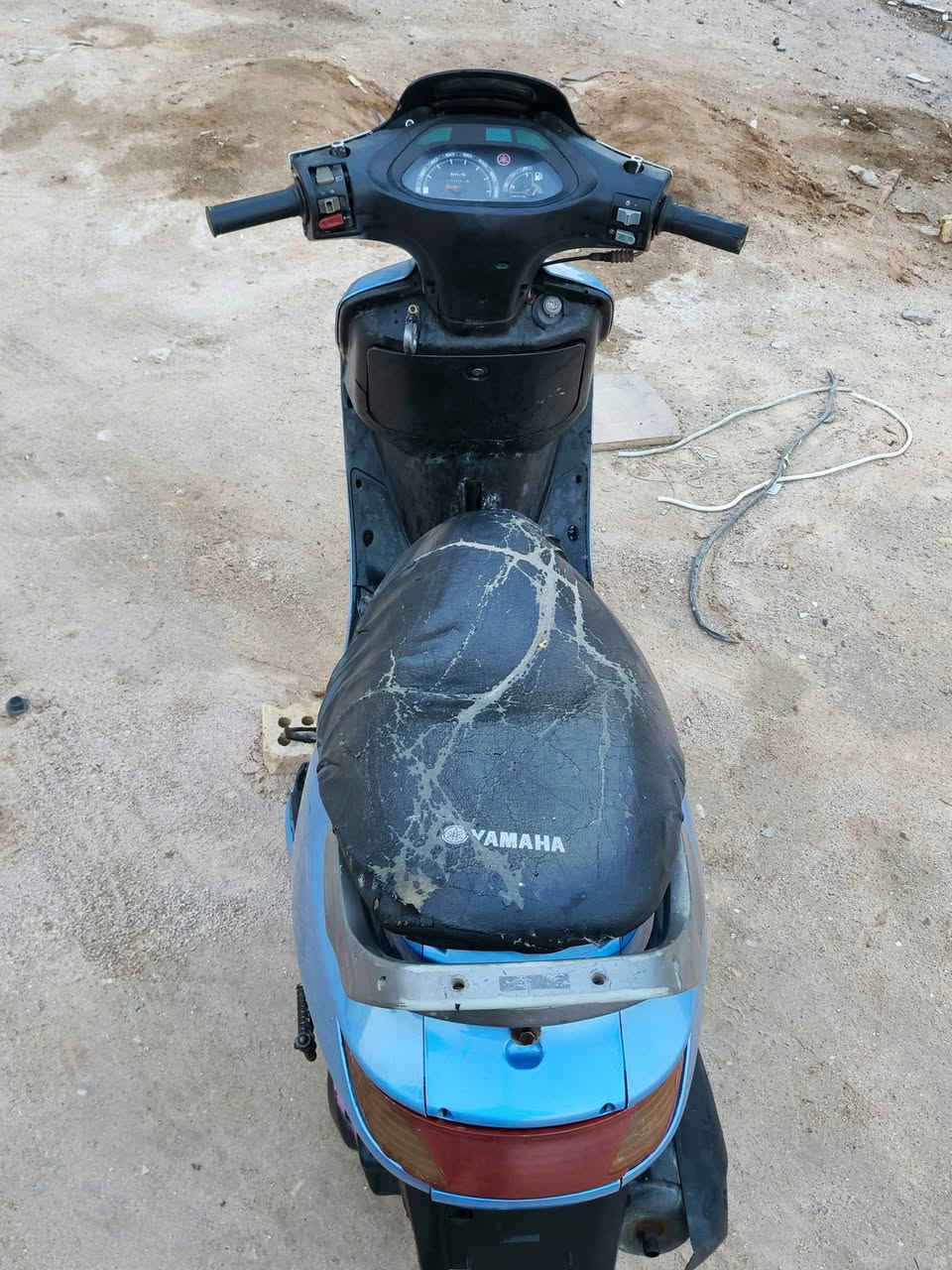 سلام فراشه فحل السعر300 ابيها مجال***********
