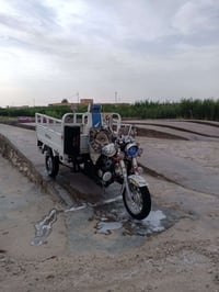 ستوته مديل ١٦ سعر خاص او نتصل ودلل ٠٧٨٣١٤٥٥٦٥٢