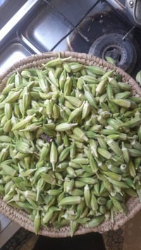 بانيه • دجاج بانيه • دجاج • لحم دجاج • قطع دجاج • سكلوب