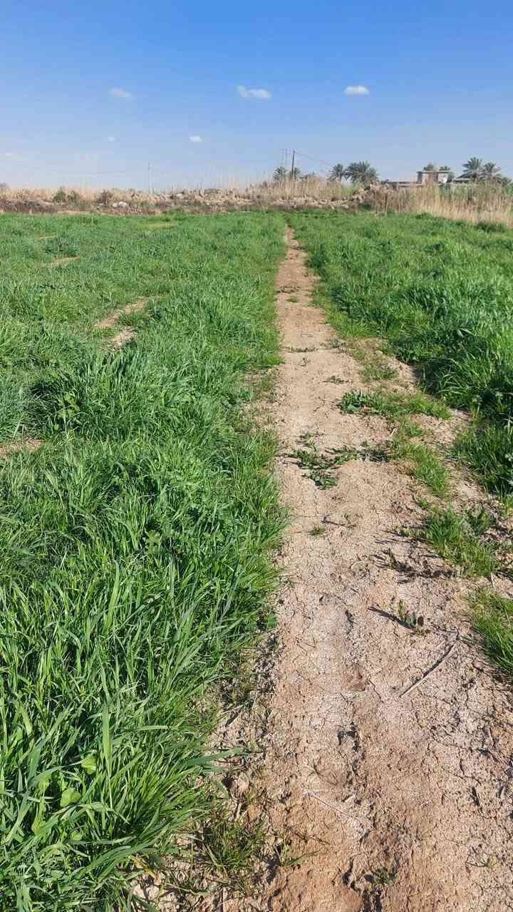 السلام عليكم  ارض للبيع طابو صرف قريبه عشارع العام كهرباء وماء متوفر المساحه ٥ دوانم ونص للستفسار اتصل ***********
مكلف بنشر
