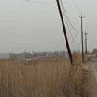 المدائن التويثه • ٥ دونم • طابو ملك