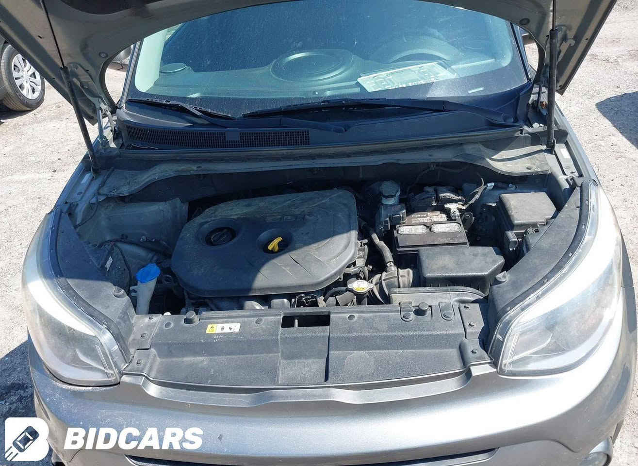 سلام عليكم اخوان كيا صول حادث فقط جاملغ الأمامي الايمن بدون دواخل بدون ايرباك محرك كفاله تبريد تدفئة كفاله صدر خلفي امامي جديد تخم تاير سياره جاهزه وبيها باب صدر الايمن شويه بارد سعرها ١١٥ وبيها مجال بسيط اي استفسار اتصل على الرقم *********** مكان بغداد الكرخ ابو مصطفى
