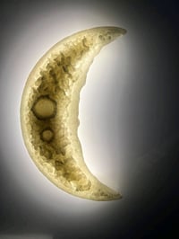 براكيت القمر هلال  السعر 30 الف