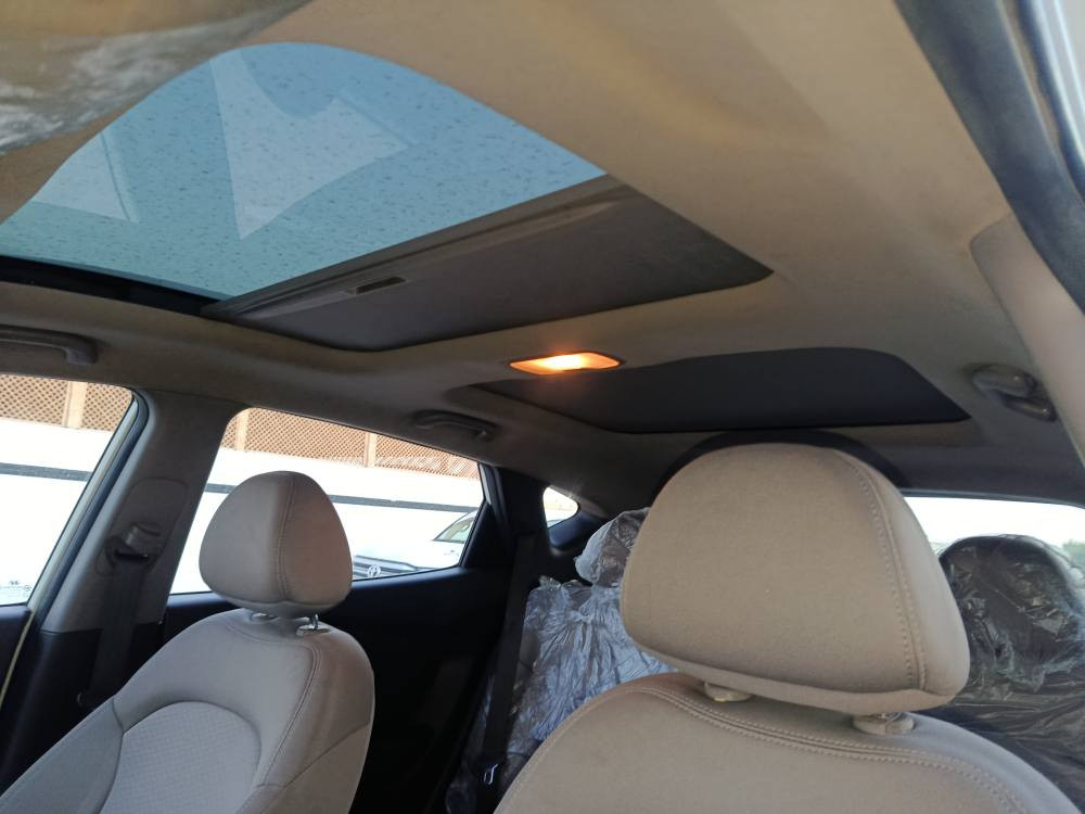 رقم الهاتف *********** وتساب السليمانية, العراق
