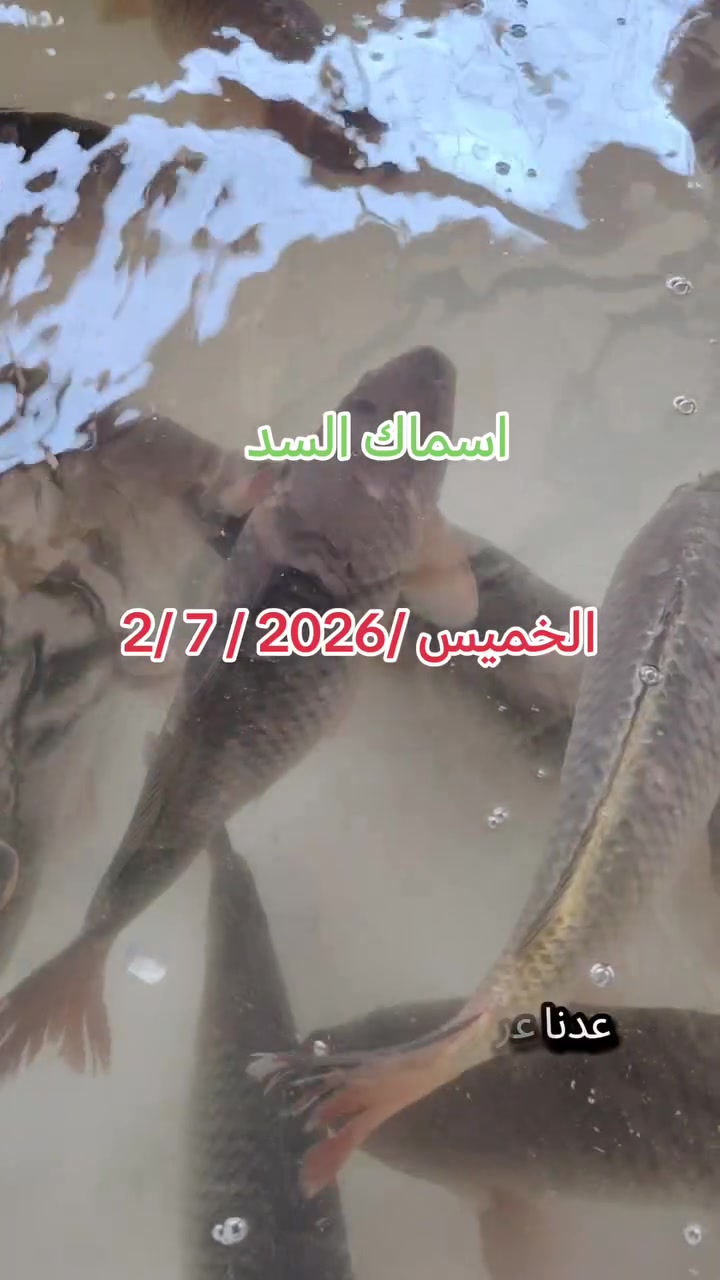 أقوى عرض خاص على مستوى سهل نينوى سمج حي ٥٢٥٠ فقط اليوم الخميس لساعة ٧ المغرب ينتهي هذا العرض


**إذا كنت صاحب هذا الإعلان وتريد حذفه لأي سبب، رجاءا أرسل رسالة إلى الدعم الفني**