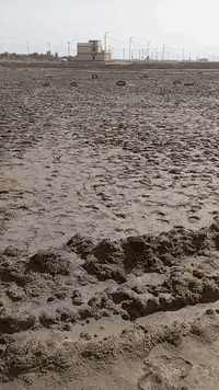 قطعه للبيع مساحتهاا 200 متر ركن عله شارعين  8 متر و 6متر مكان منطقه الطابو قرب محل ال كهار استفسار ***********
