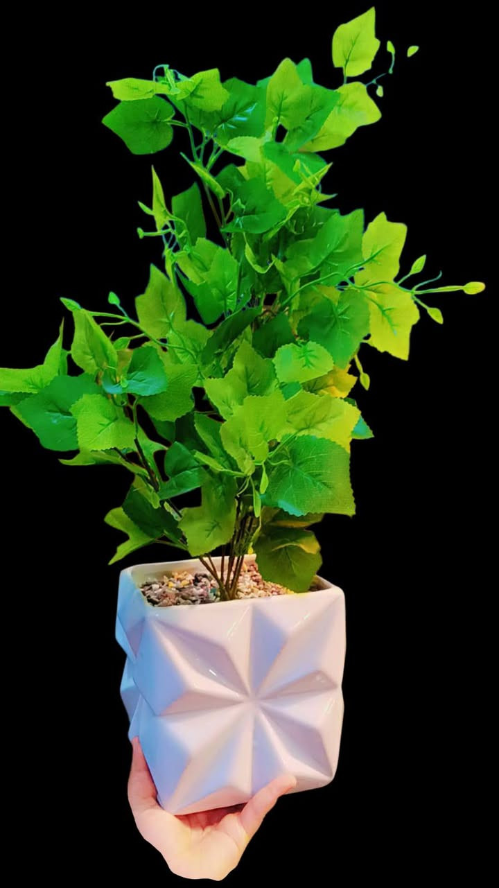 سعر 10


**إذا كنت صاحب هذا الإعلان وتريد حذفه لأي سبب، رجاءا أرسل رسالة إلى الدعم الفني**