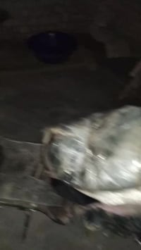 رص • شغال • هندر كامل