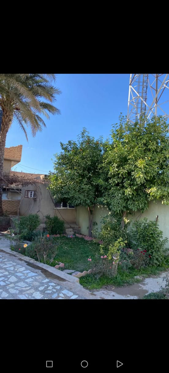 على بركة الله  دار مع قطعه  طابو ملك صرف في القلعه قرب ثانويه القلعه للبنين  مساحته في السند 850 متر واقع 
حال 800م  الوارد السنويي 7.500000 سبعه مليون  وخمسمائه الف دينار مأجر لشبكه اتصال فرصه اسثماريه الجاد بالشراء زياره المكتب الكائن حي الافراز قرب جامع القريشي او الاتصال *********** عندك عقار للبيع مستعدين للترويج
