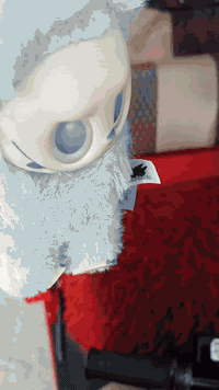 سلام عليكم تكتك اللبيع موديل 20 كفاله عامه رقم وسنويه  وضاحه بتصوير حتا مكينته كفاله برغي ما مفتوح 
مكاني ابو غرق. السعر 7وبيه مجال قليل حك الجيه
***********
