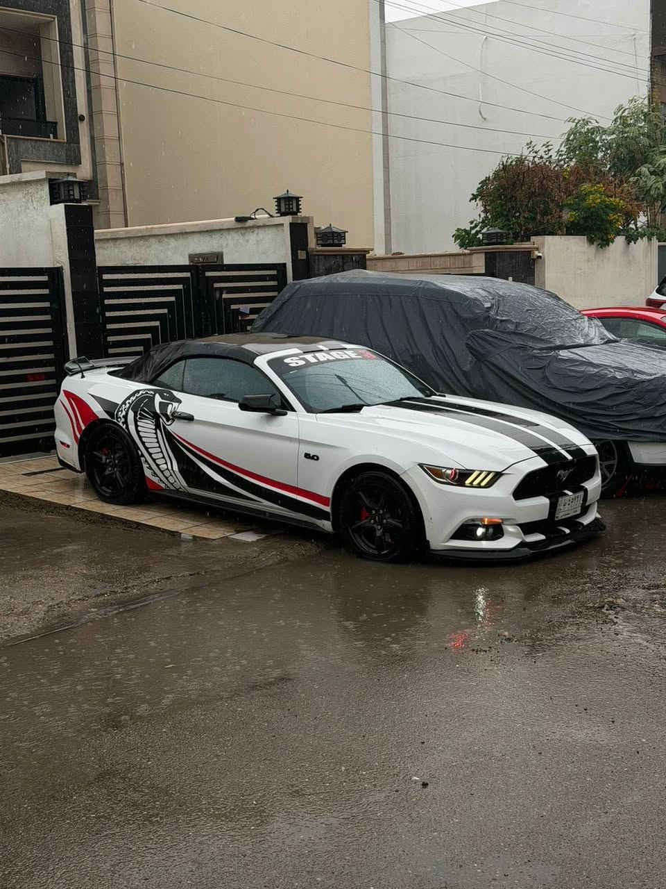 السلام عليكم موستنك للبيع موديل 2016 وارد كلين  تعديل بارد جاملغ خلفي
بحاله جيده جدآ 
مكان بغداد اليرموك 
سعر 15800$ 
***********
***********
