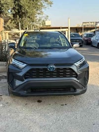 XLE • ٢٠٢٤ • مكفول