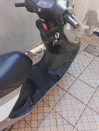 سبيسي • ياباني • ماشية 26