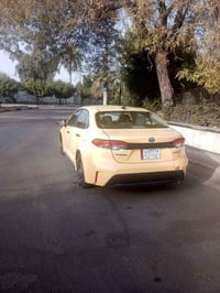 كورولا هايبرد • ٢٠٢٠ • التاجي