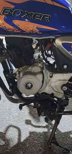 سلام عليكم يولد بوكسر للبيع موديل 23 مامرقمه اكفلها من السرقه فقط منفيس وياها مجفته صار شهر تجفيت مضبوط السعر 1250 بيها مجال بلاتصال *********** عنوان كركوك
