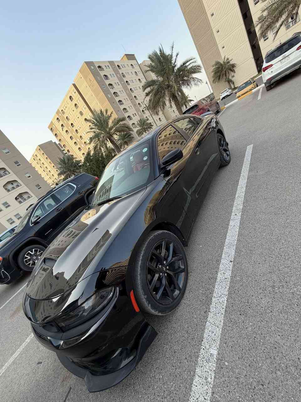 جارجر 2022
دوج جارجر 2022 /  ٦ سلندر

رقم اربيل بأسمي شخصيا 

 السيارة بدون ايرباك بجم كبس 

شاشة جبيرة تحكمات ستيرن مقاعد كهرباء

داخل جلد احمر ماشية 31 الف ميل 

السيارة جديدة واحلى من الصور مابيهة اي نقص صدر كهربائيات مكينة كير لغد شاصي مكفول شرط الفحص 

***********  بغداد
