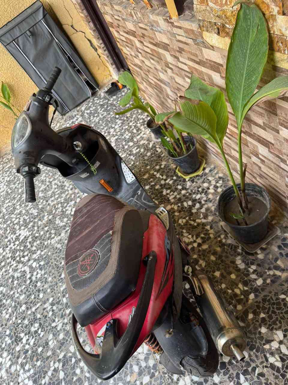 ماكس متروسه تزويد خير من الله كامله بيه بكلايت وبيه راس ومازده بس مكينته مركوله وبيه صوت كير سعره 750 وبيه مجال لشراي


**إذا كنت صاحب هذا الإعلان وتريد حذفه لأي سبب، رجاءا أرسل رسالة إلى الدعم الفني**