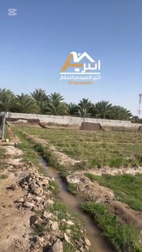 ✅ اعلان رقم ( 238 ) السلام عليكم دونم ونص سند 25 طابو زراعي كافة الخدم...