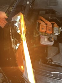 الانترا ٢٠٢٤ • مزادات • امريكي اصلي