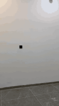 صباغين متفرغين العمل هذا رقمي 077333018056