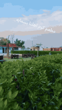 مطعم كرم هلنا • بسمايه القديمه • توصيل