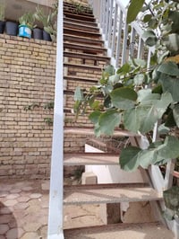 ٦.٥م • نضيف • قابل تفاوض