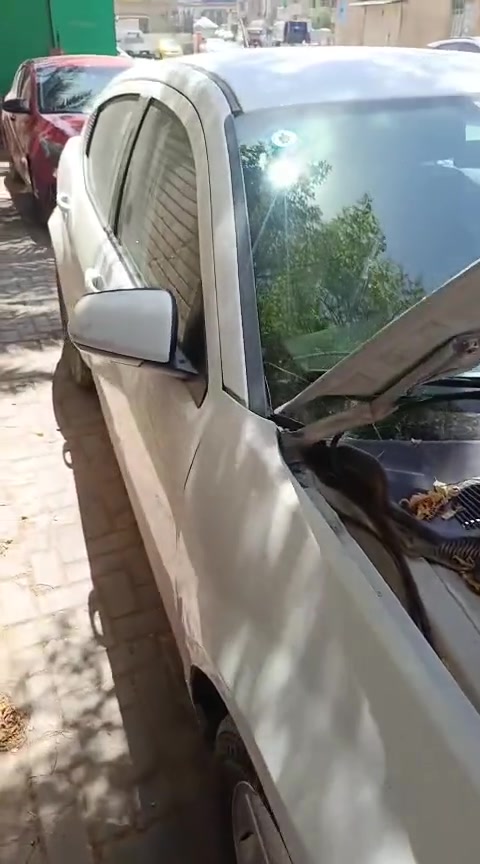 السلام عليكم أخواني كلشي مذكور بالفديو سعر 75 بسمي سيارة رقم جديد سنوية جديدة رقم ***********
