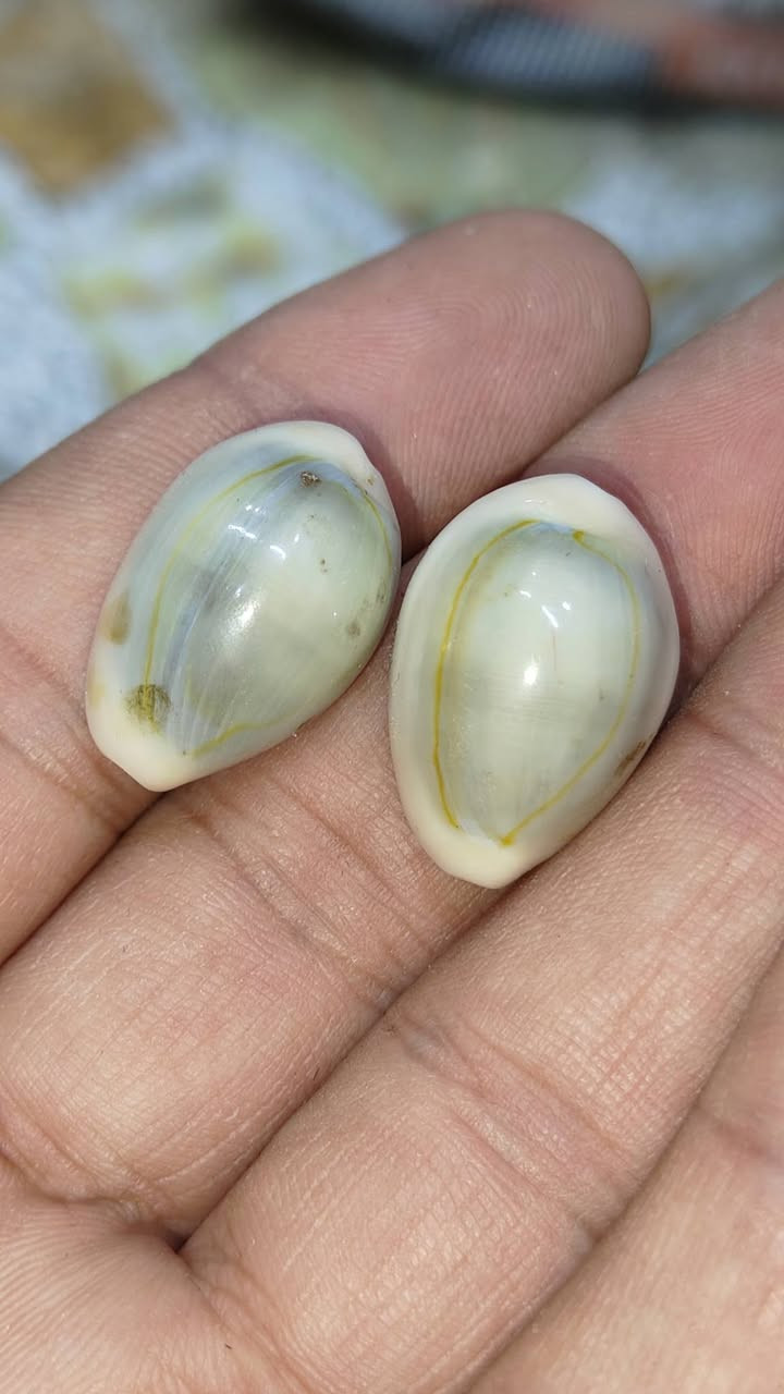 متاح


**إذا كنت صاحب هذا الإعلان وتريد حذفه لأي سبب، رجاءا أرسل رسالة إلى الدعم الفني**