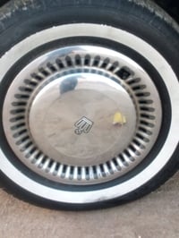 كبات • أرنب • اكسسوارات سيارات