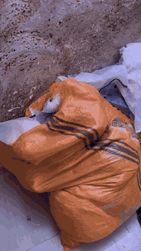 السلام عليكم اخوان من رخصه الادمن شلعه شي ان التفاصيل بالفيديو سعر القطعه ألفين دينار مكاني البصره ***********
