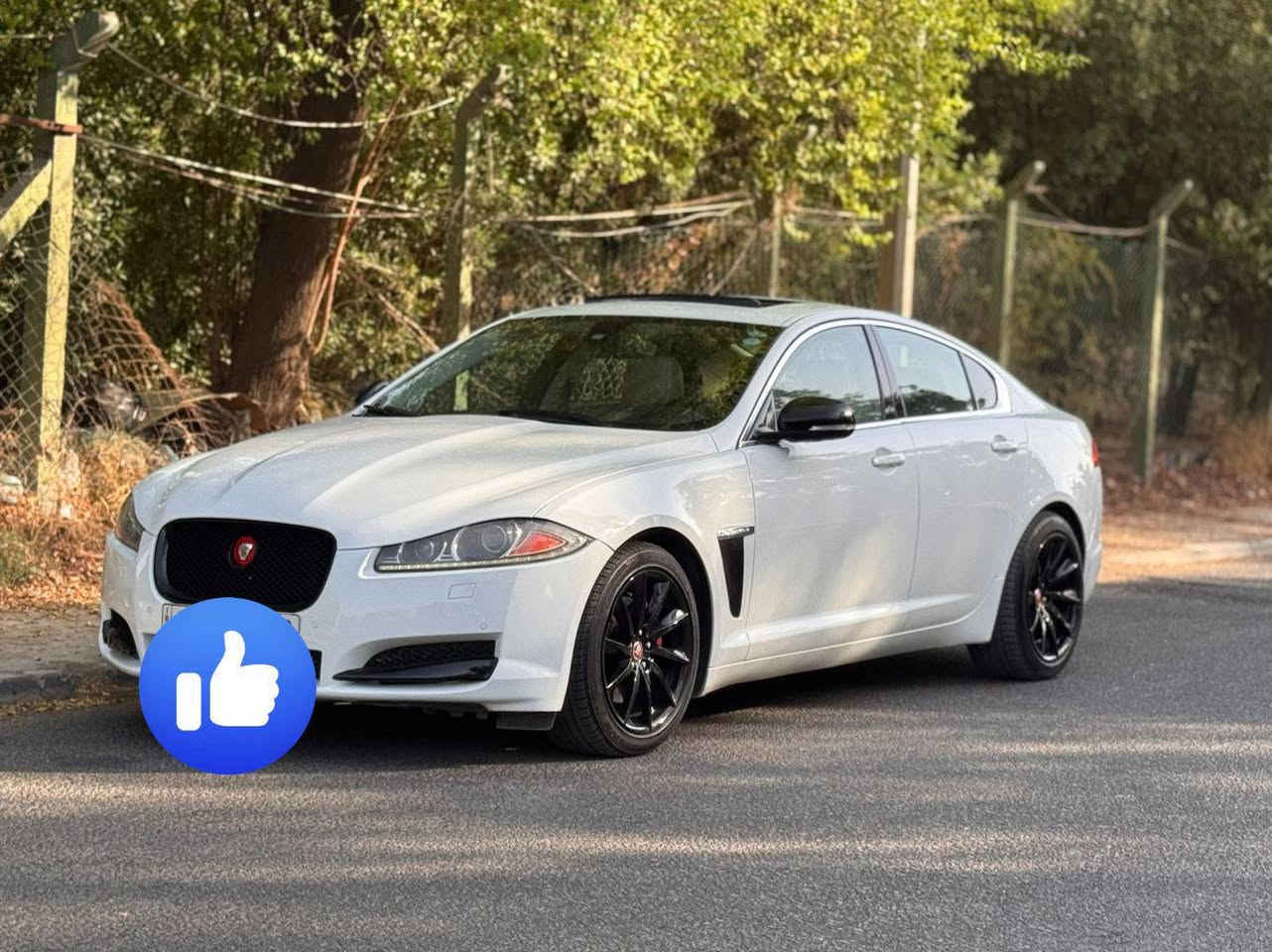 جاكوار 14 XF خليجي شركه سردار
السعر ١٢٠بيها مجال بسيط 
بغداد الاتصال على الرقم ***********
