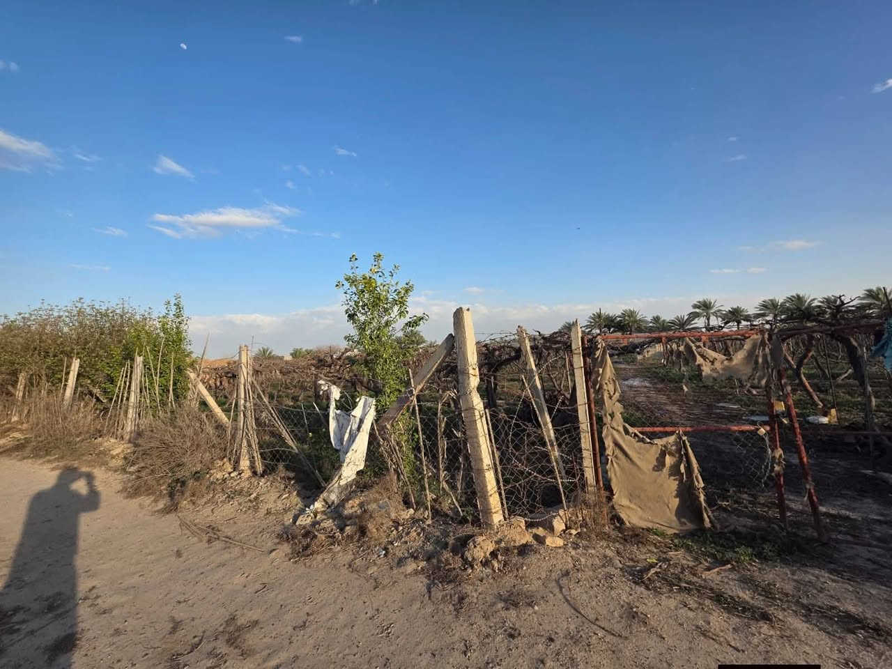 🔥 فرصة استثمارية لا تعوّض 🔥
للبيع بستان زراعي مميز مزروع عنب
المساحة: دونم كامل
نوع العقار: طابو زراعي 
📍 موقع استراتيجي جداً:
قريب الغواضر – مدخل 2
مجاور منتجع الجبل
ويقع على الفرع المقابل لمنتجع رويال
✨ مميزات العقار:
✔ أرض خصبة وجاهزة للاستثمار الزراعي
✔ موقع حيوي مناسب للمشاريع السياحية
✔ يصلح لبناء منتجع فاخر أو عدة مشاريع استثمارية

📞 للاستفسار : ***********
