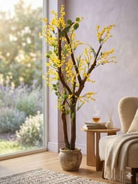 شجرة • جذع طبيعي • للبيع