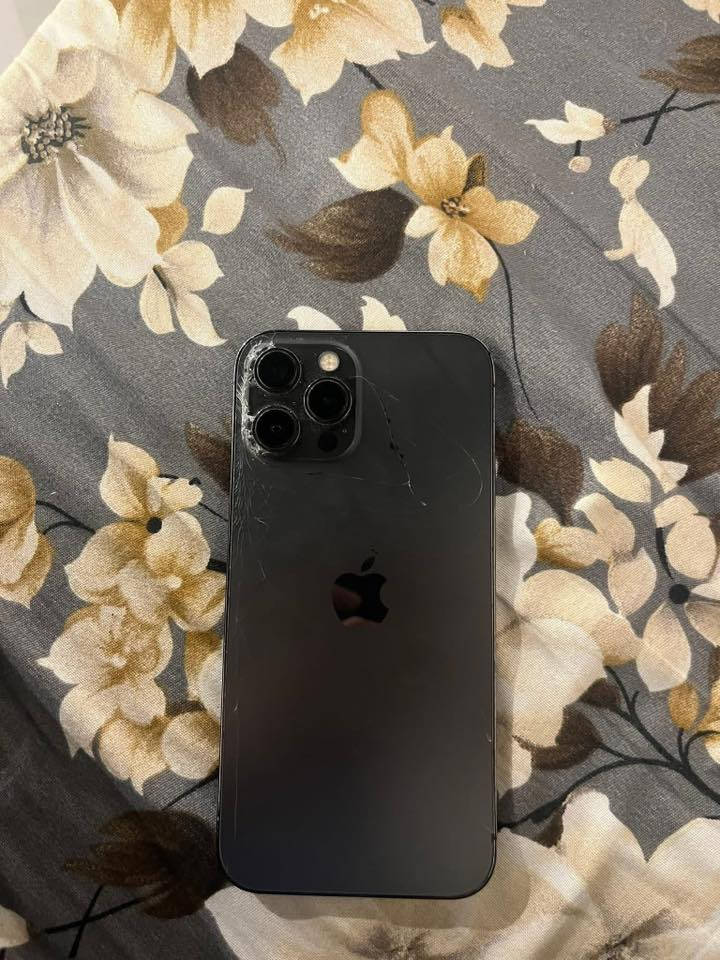 سلام عليكم ايفون 12 برو ماكس ذاكره 256 تك مبدل بطاريه نوعيه زينه بي فطر بل ضهر السعر 375 وبي مجال لطيبين لتواصل ***********
