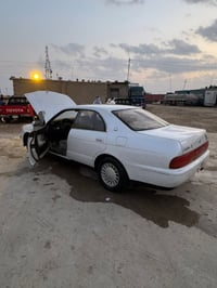 بطه منتصل • ١٩٩٠ • رقم ديالى