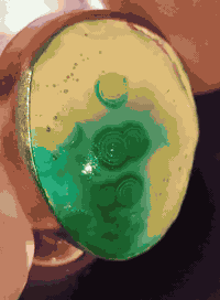 بسم الله  الوحش الخام الأخضر   حجره vip شرط خام مامجروخ  كامل للحمل مج...